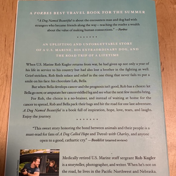 A dog named beautiful - Picture 3 of 4